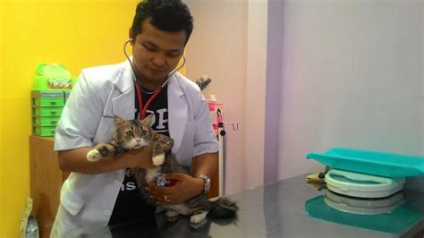 dokter hewan rindang zainal Timur, Daerah Khusus Ibukota Jakarta 13450